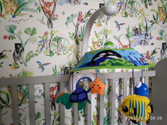 baby einstein cot mobile
